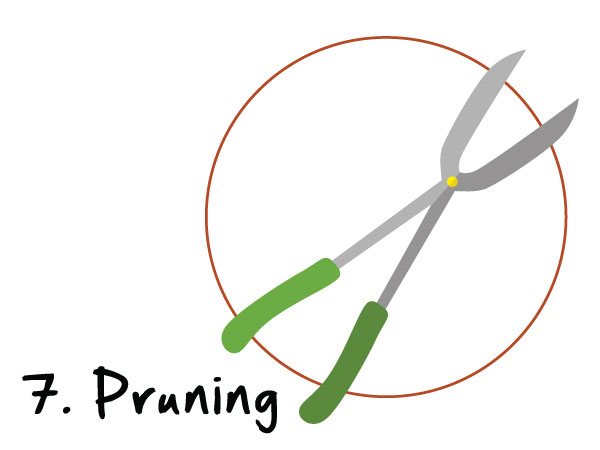 The Discipling Tree Series: The Bittersweet Element of Disciple-Making